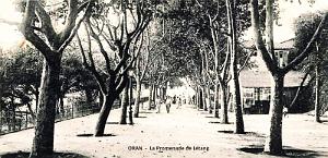Oran - Promenade de Letang 